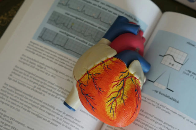 How_Genetics_Influence_Cholesterol_Heart_Disease_and_Testosterone_Levels_in_Men_1