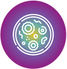 Cellular