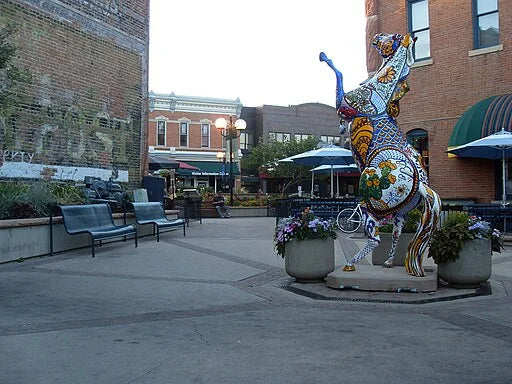 Fort Collins