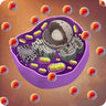Oxidative Stress