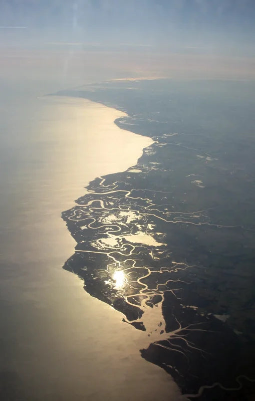 Smyrna