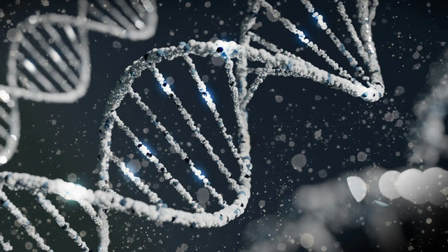 Folate-Producing Bifidobacteria: Metabolism, Genetics, and Relevance