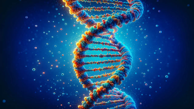 What is DNA methylation