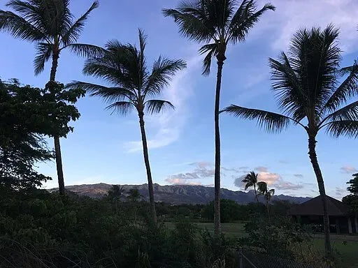 Kaneohe